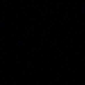 Meet your Posher, Audrey